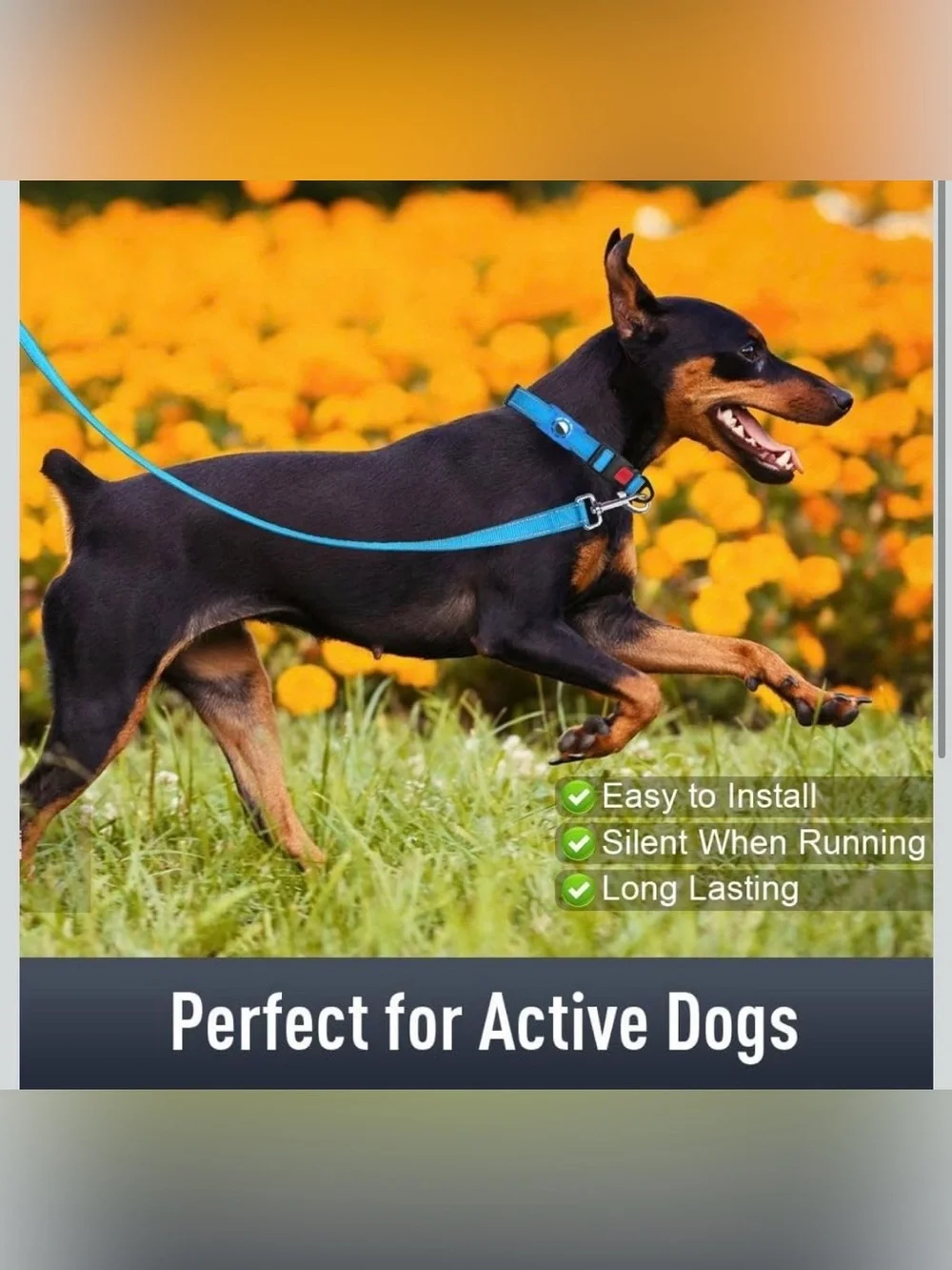 Airtag Dog Collar with AirTag Holder for Medium Dogs, Reflective, Soft Padded &